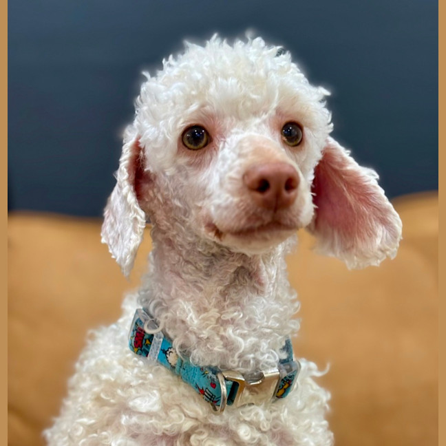 Photo of Winny