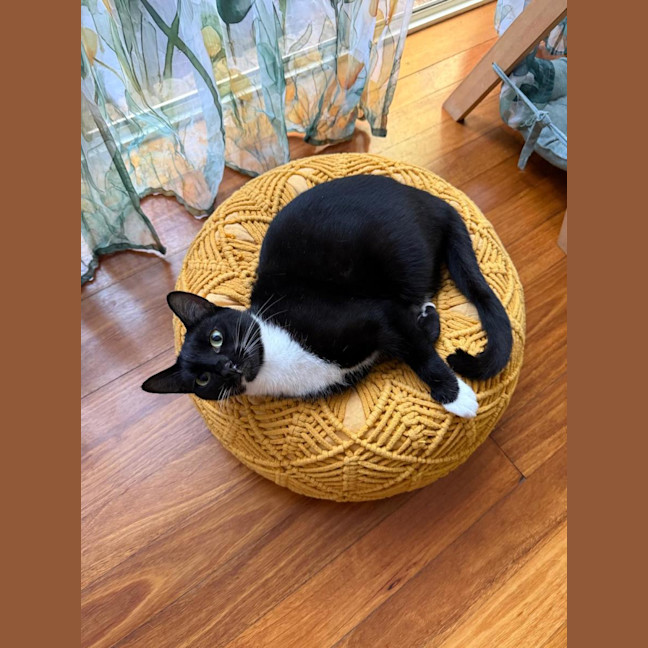 Photo of Sandy
