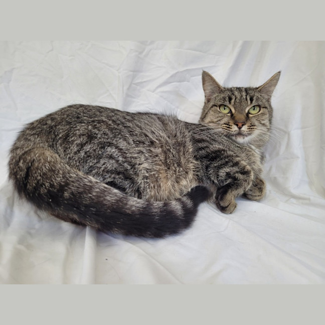 Photo of Gaia