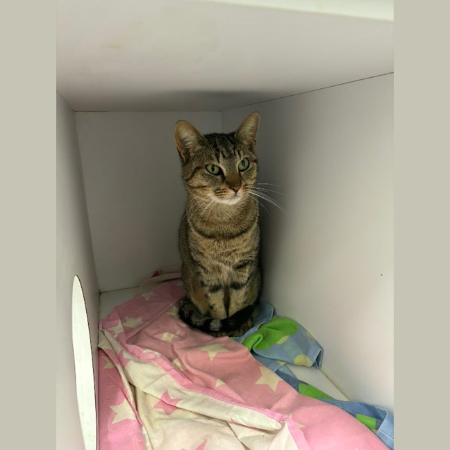 Photo of Cleo