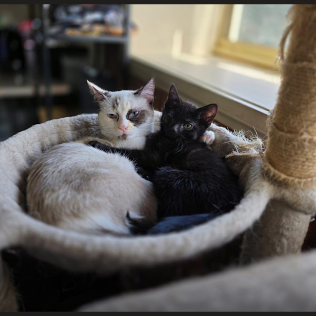 Photo of Dairy Queen