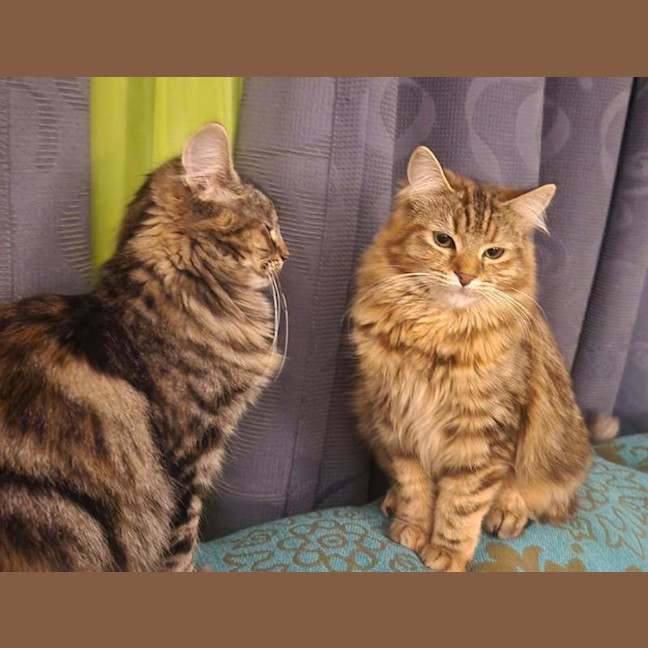 Photo of Penelope