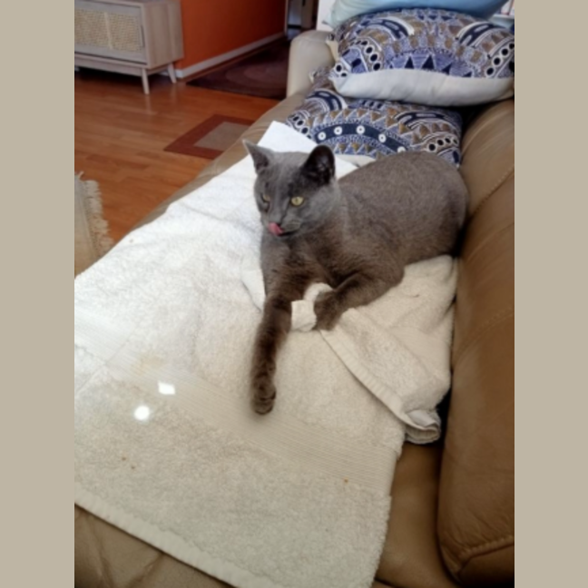 Photo of Smoke