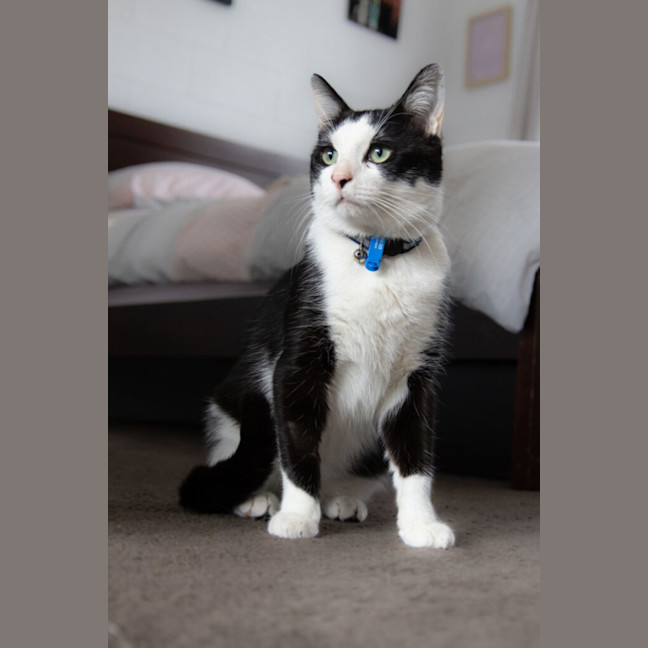 Photo of Billy