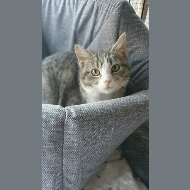 Photo of Teddy Bear 🧸