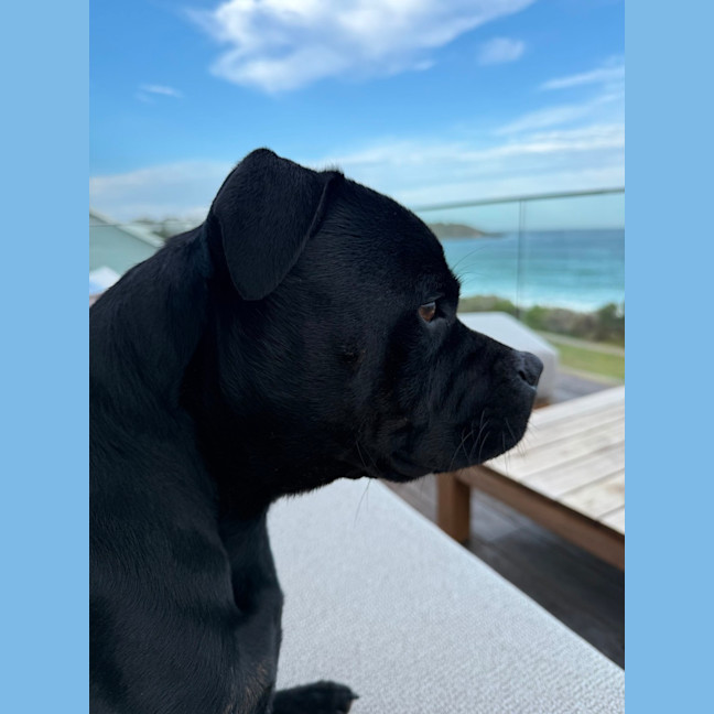 Photo of Reggie