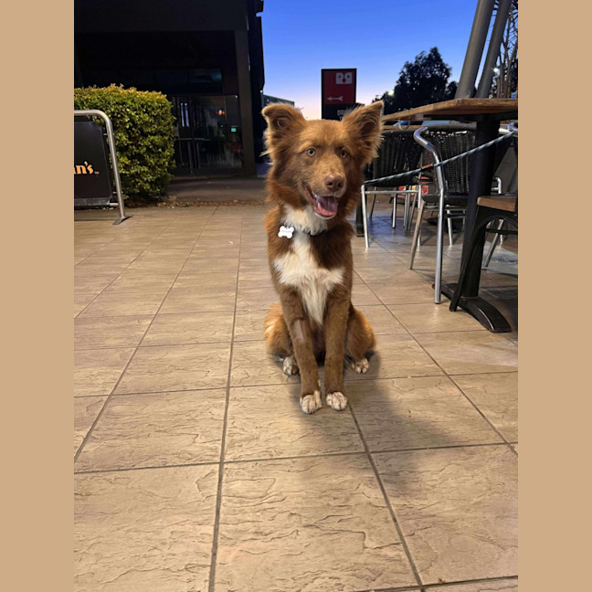 Photo of Coco