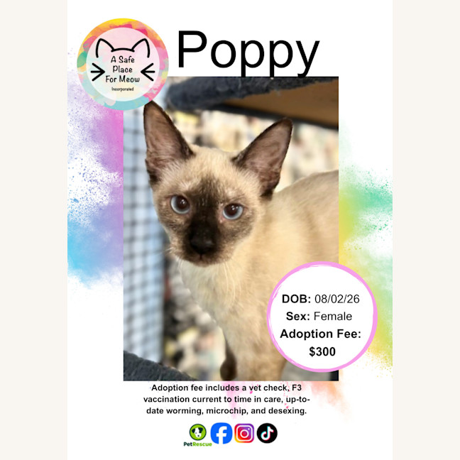 Photo of Poppy