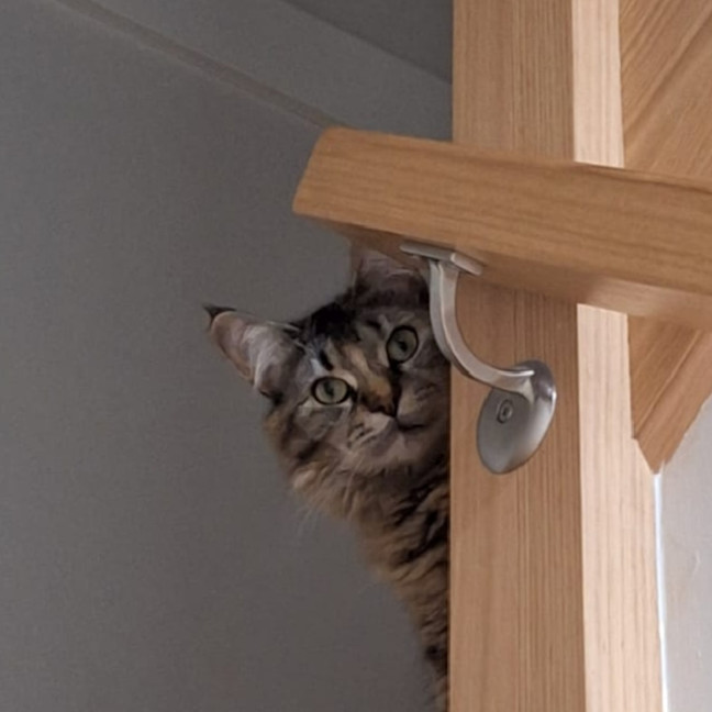 Photo of Celia Sta013621