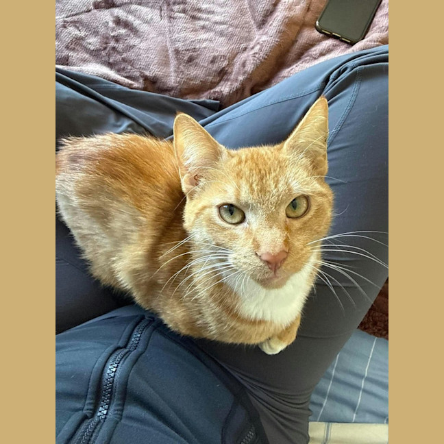 Photo of Daphne