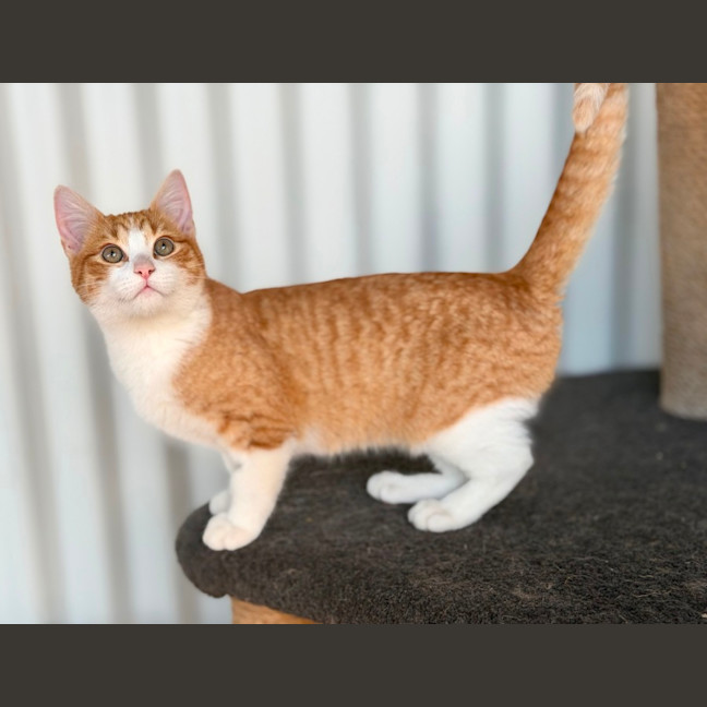 Photo of Skeeter