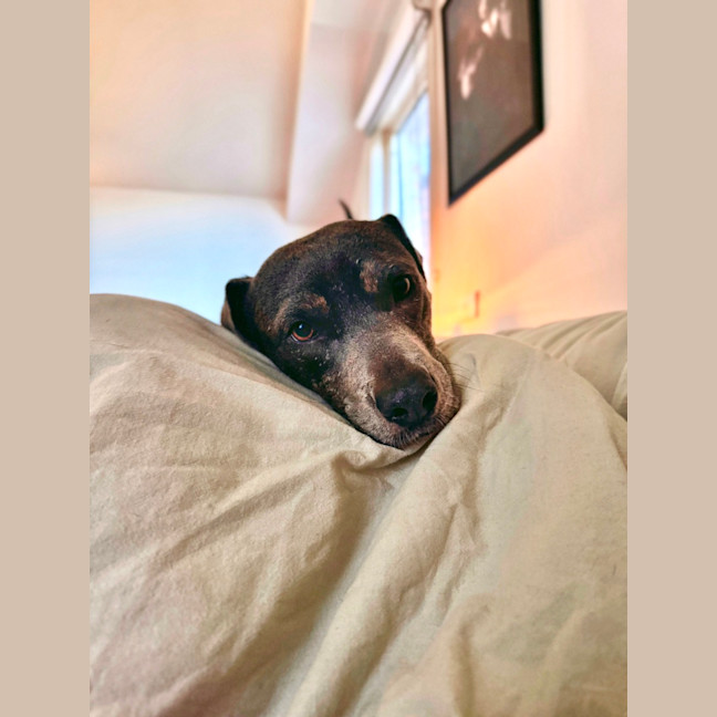 Photo of Sprout 🌱 