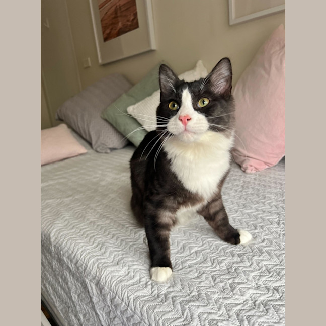 Photo of Zipper