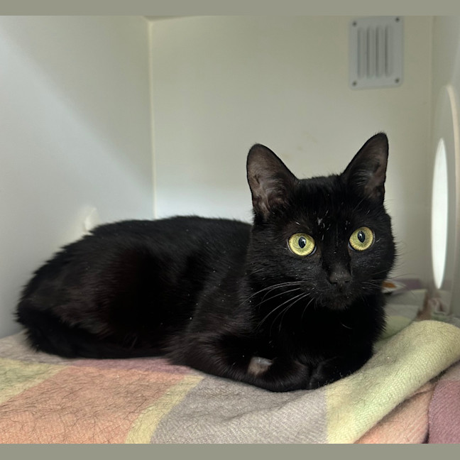 Photo of Princess Luna