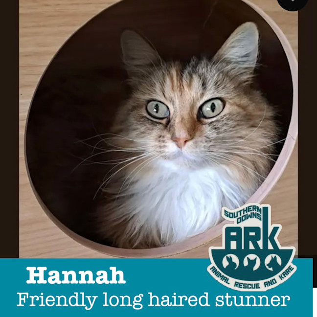 Photo of Hannah