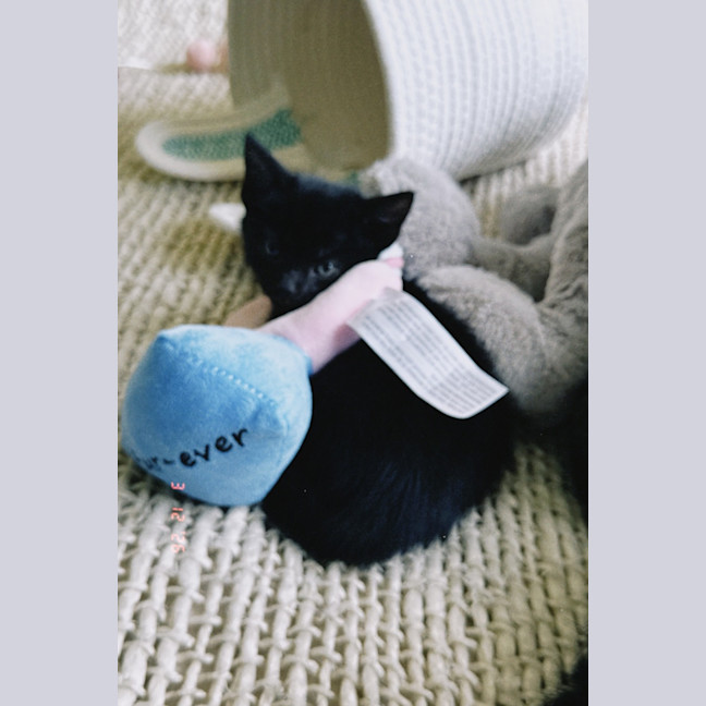 Photo of Tails & Little Tails