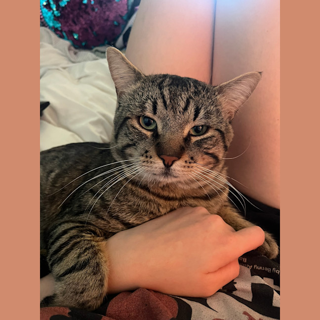 Photo of Moonface