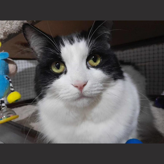 Photo of Richie Rich