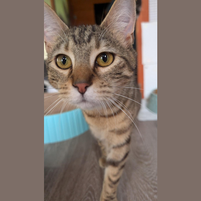 Photo of Flynn