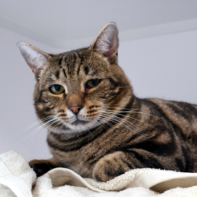 Photo of George Sua014378