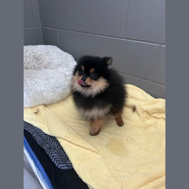 Photo of Storm