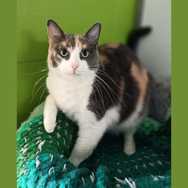 Photo of Lola 