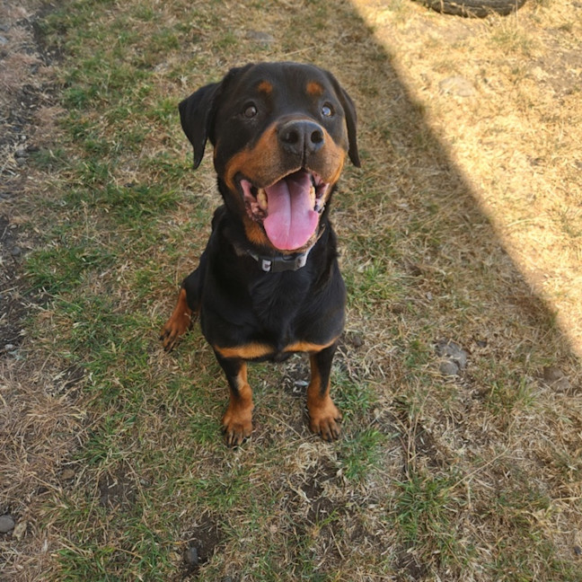 Photo of Lunar (66650)