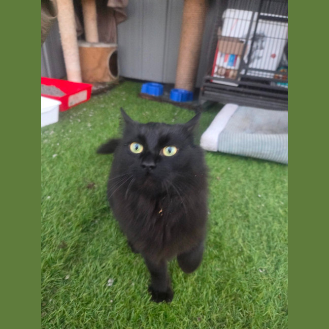 Photo of Wednesday