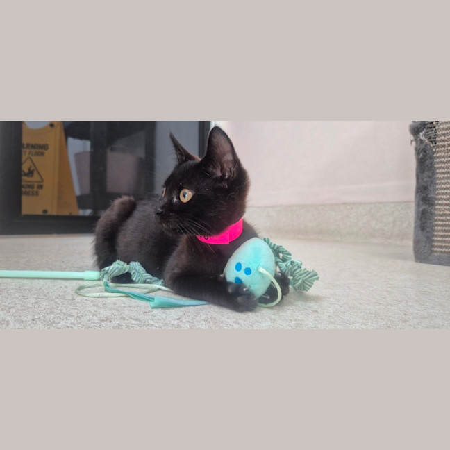 Photo of Mary (9202)