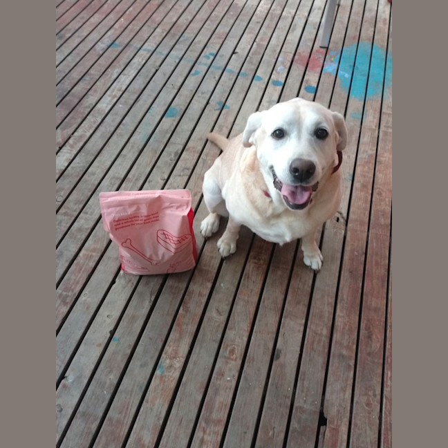 Photo of Sally