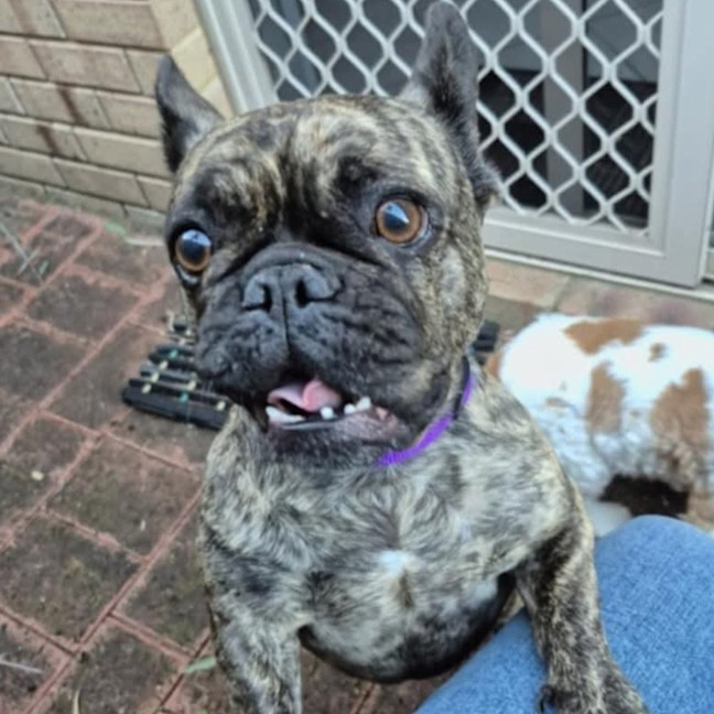 Photo of Marlee