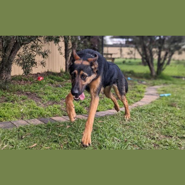 Photo of Emirates 