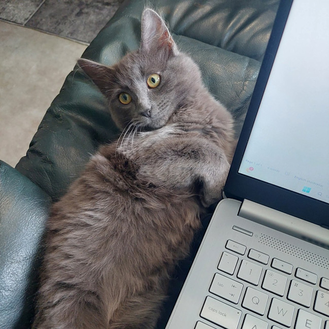 Photo of Nyla