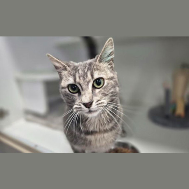 Photo of Maggie