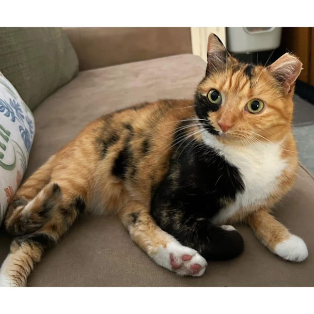 Photo of 2363   Bonnie