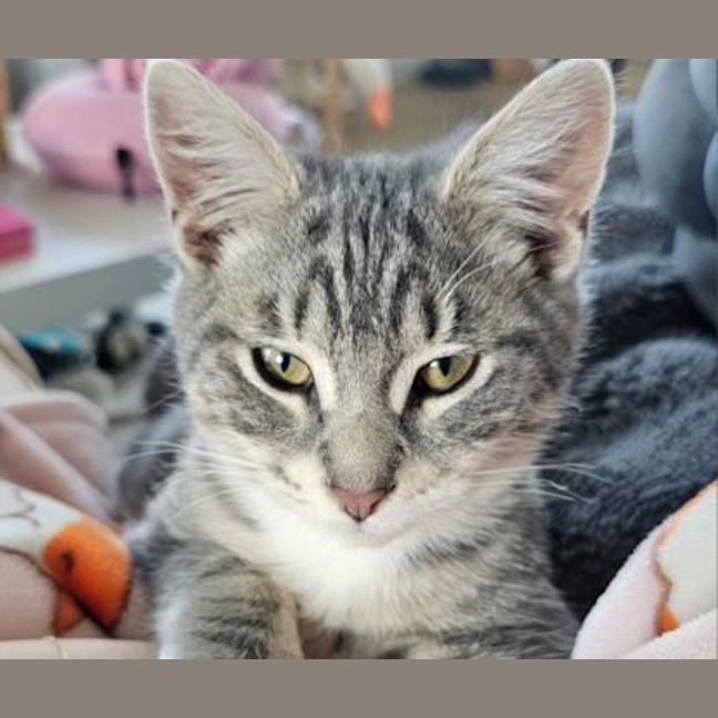 Photo of Truffle
