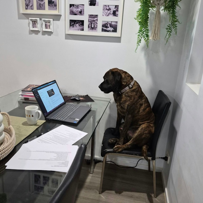 Photo of Rex