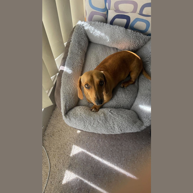 Photo of Roxy