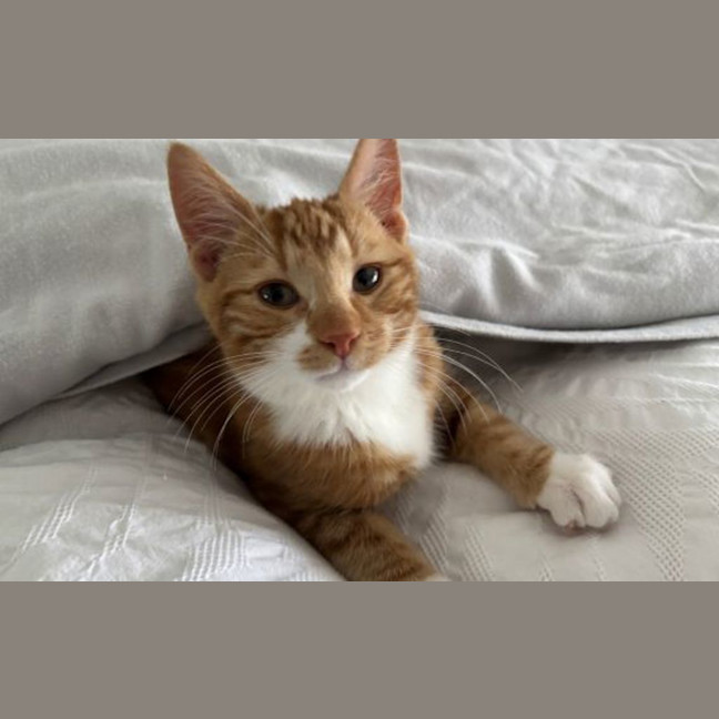 Photo of Leo