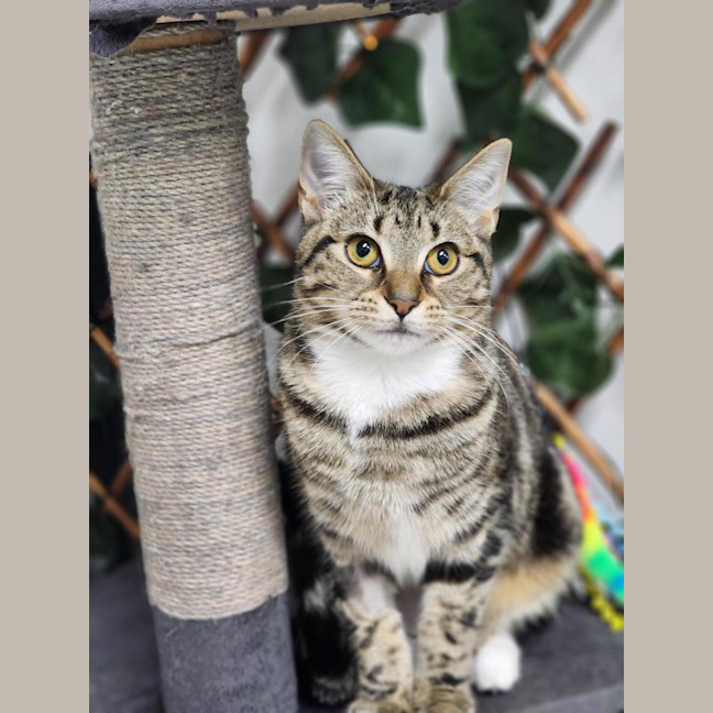 Photo of 🎷 Willow 7294 🎷