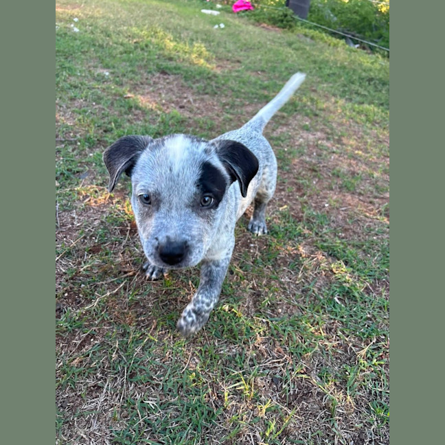 Photo of Doc
