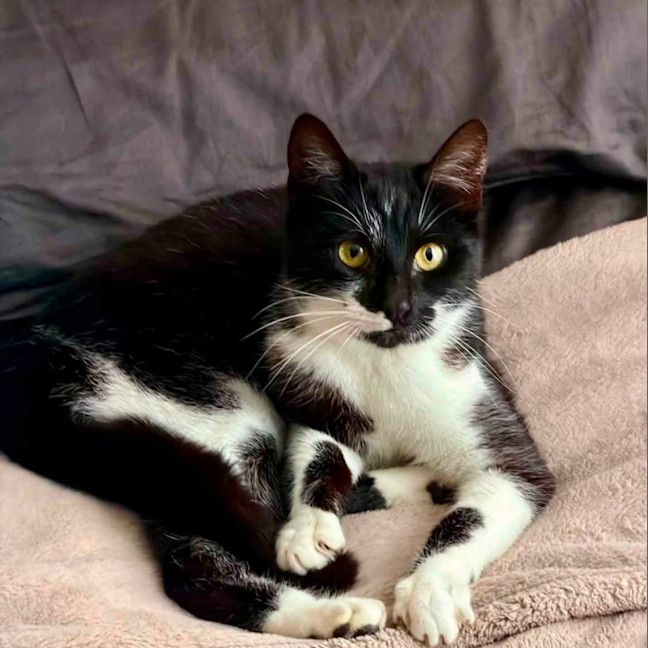Photo of Pawla