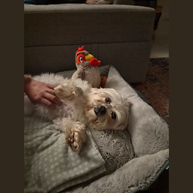 Photo of Nellie