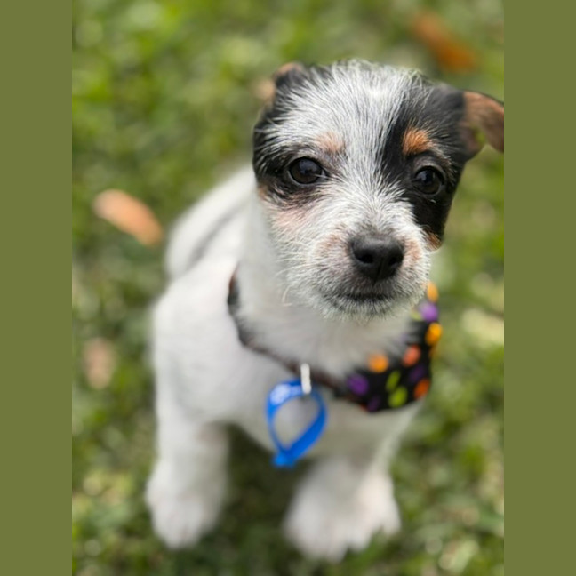 Photo of Bobby