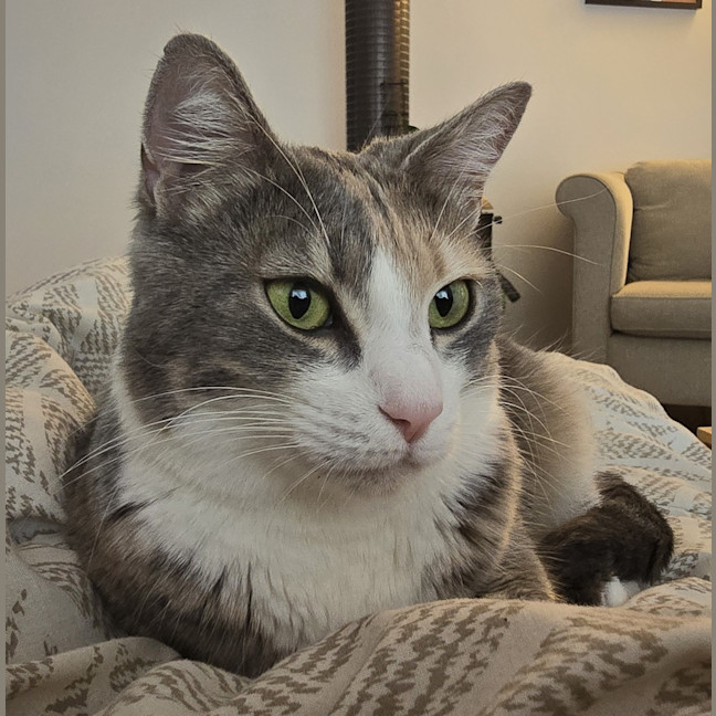 Photo of Coraline
