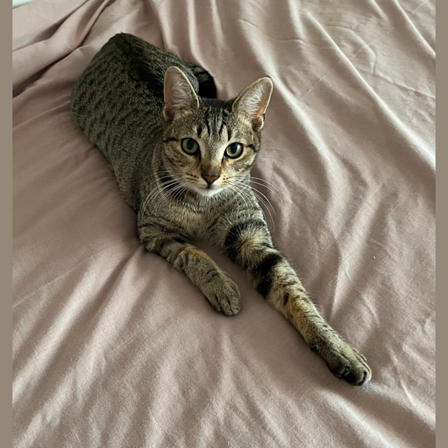 Photo of ❤️ Sarah ❤️`