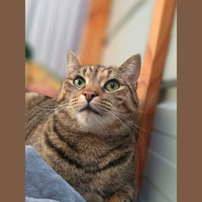 Photo of Echo