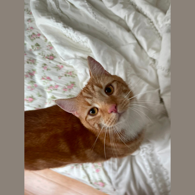 Photo of Grandpa George And Grandpa Joe