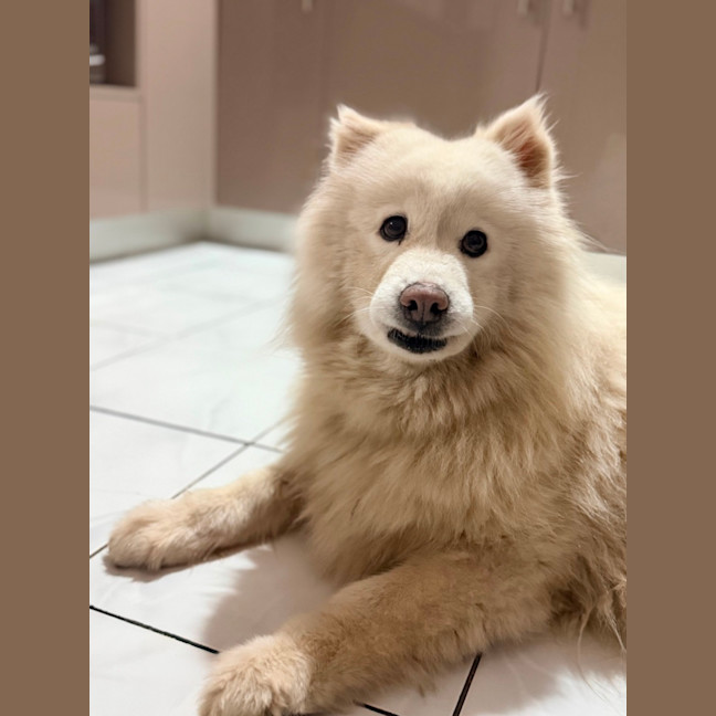 Photo of Luna