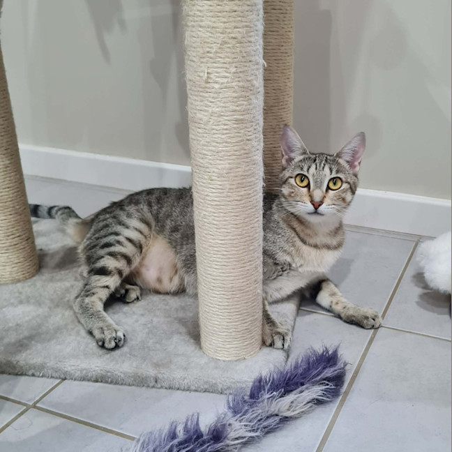 Photo of Nini